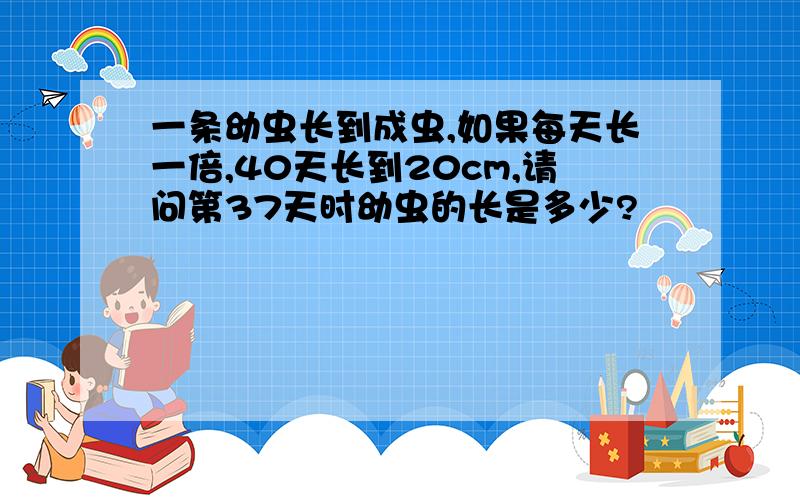 一条幼虫长到成虫,如果每天长一倍,40天长到20cm,请问第37天时幼虫的长是多少?