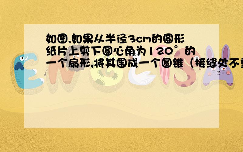 如图,如果从半径3cm的圆形纸片上剪下圆心角为120°的一个扇形,将其围成一个圆锥（接缝处不重叠）,则这个圆锥的高为 （   ）