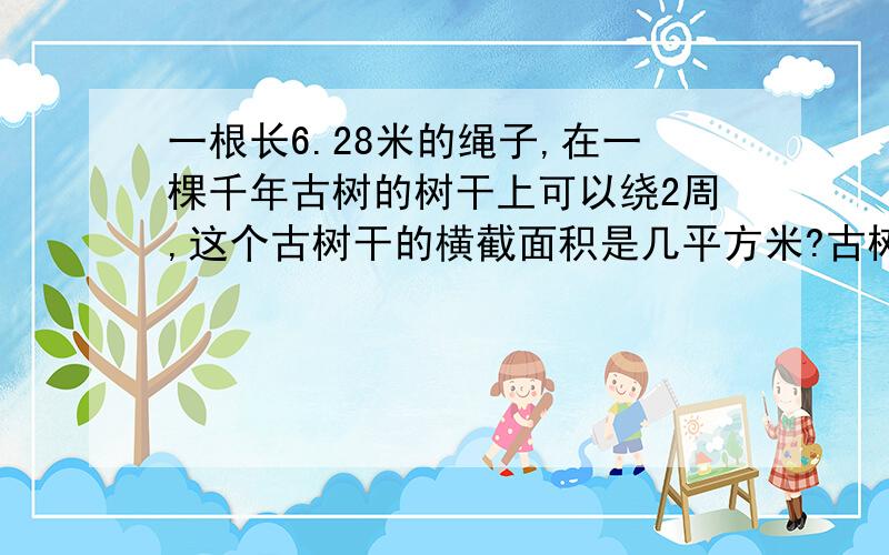 一根长6.28米的绳子,在一棵千年古树的树干上可以绕2周,这个古树干的横截面积是几平方米?古树横截面成圆形