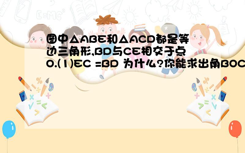 图中△ABE和△ACD都是等边三角形,BD与CE相交于点O.(1)EC =BD 为什么?你能求出角BOC的度数是多少吗?（2）如果要△ABE和△ACD全等,则需要什么条件?在此条件下,整个图形是轴对称图形吗?此时角BOC的