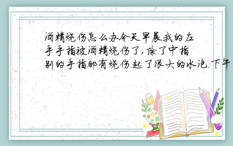 酒精烧伤怎么办今天早晨我的左手手指被酒精烧伤了,除了中指别的手指都有烧伤.起了很大的水泡.下午去医院医生把水泡刺破了.被烧伤的地方皮子呈白色,到现在还有水流出.医生让我吃阿莫