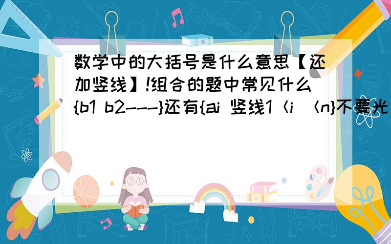 数学中的大括号是什么意思【还加竖线】!组合的题中常见什么{b1 b2---}还有{ai 竖线1＜i ＜n}不要光给个词最近正在攻克组合趣题!