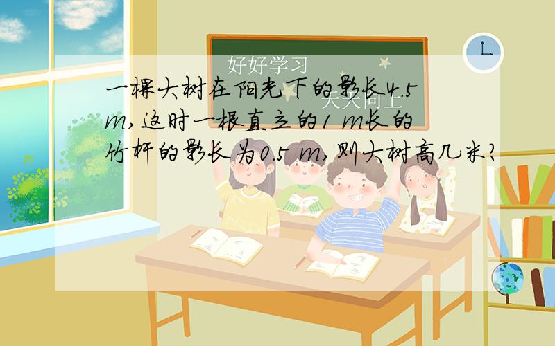 一棵大树在阳光下的影长4.5m,这时一根直立的1 m长的竹杆的影长为0.5 m,则大树高几米?