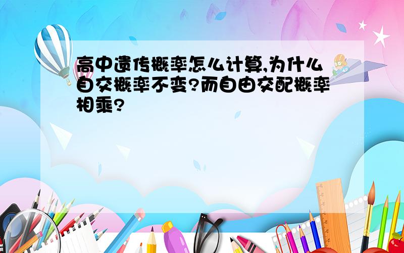 高中遗传概率怎么计算,为什么自交概率不变?而自由交配概率相乘?