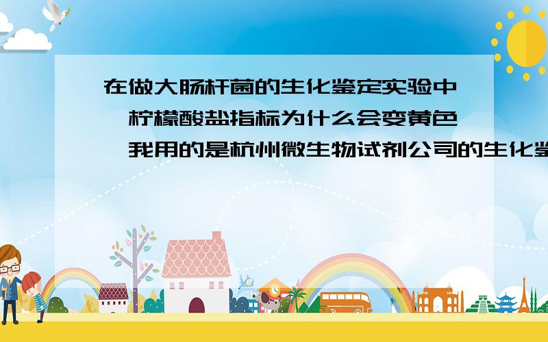 在做大肠杆菌的生化鉴定实验中,柠檬酸盐指标为什么会变黄色,我用的是杭州微生物试剂公司的生化鉴定管