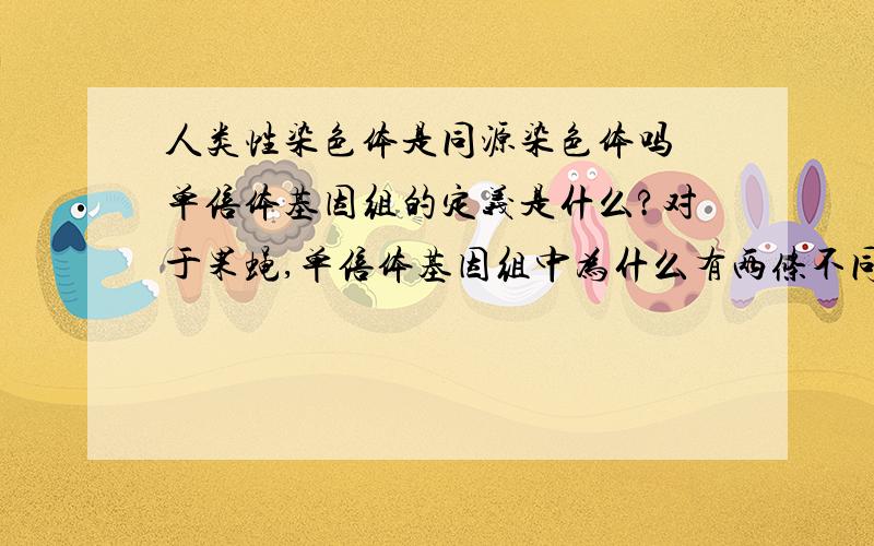 人类性染色体是同源染色体吗 单倍体基因组的定义是什么?对于果蝇,单倍体基因组中为什么有两条不同性染色体?