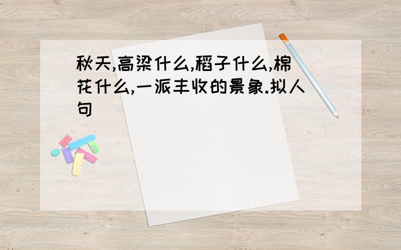 秋天,高梁什么,稻子什么,棉花什么,一派丰收的景象.拟人句