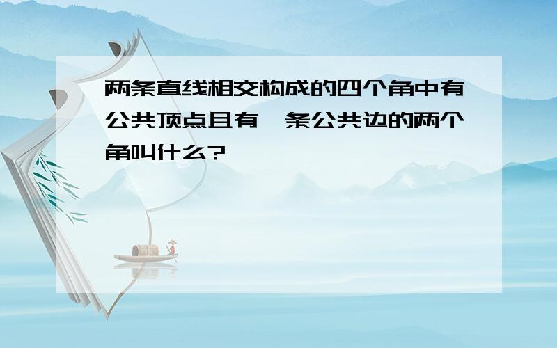 两条直线相交构成的四个角中有公共顶点且有一条公共边的两个角叫什么?