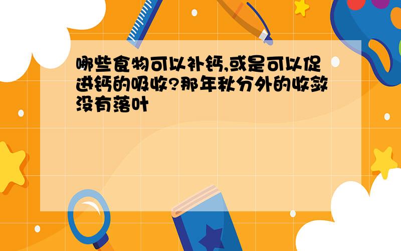 哪些食物可以补钙,或是可以促进钙的吸收?那年秋分外的收敛没有落叶