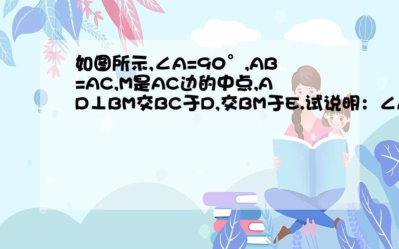 如图所示,∠A=90°,AB=AC,M是AC边的中点,AD⊥BM交BC于D,交BM于E.试说明：∠AMB=∠DMC.