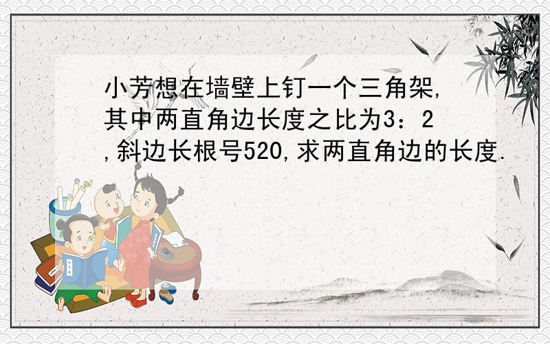 小芳想在墙壁上钉一个三角架,其中两直角边长度之比为3：2,斜边长根号520,求两直角边的长度.