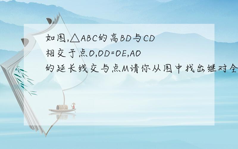 如图,△ABC的高BD与CD相交于点O,OD=OE,AO的延长线交与点M请你从图中找出继对全