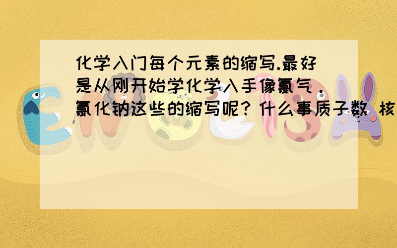 化学入门每个元素的缩写.最好是从刚开始学化学入手像氯气。氯化钠这些的缩写呢？什么事质子数 核电子数