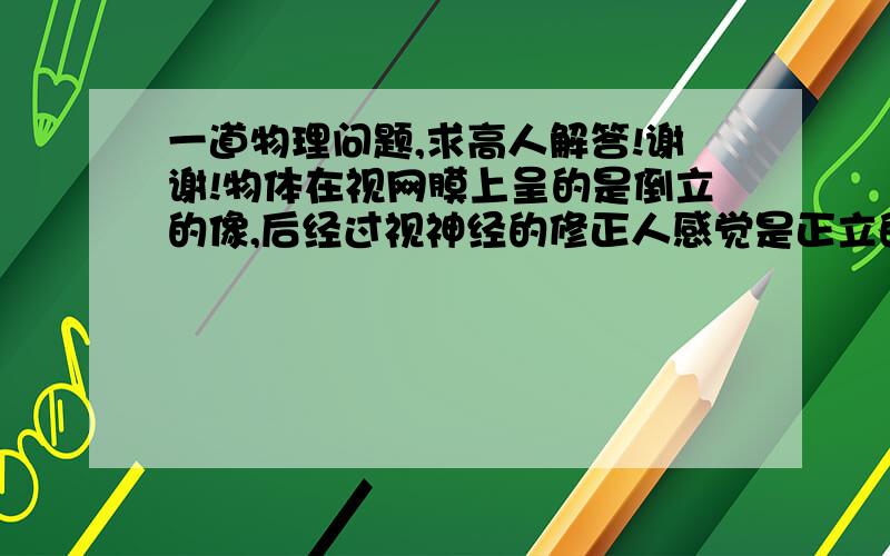 一道物理问题,求高人解答!谢谢!物体在视网膜上呈的是倒立的像,后经过视神经的修正人感觉是正立的像,那么我们是怎么看到物体倒立的像的?按道理所有的物体的像不都是正立的了吗?