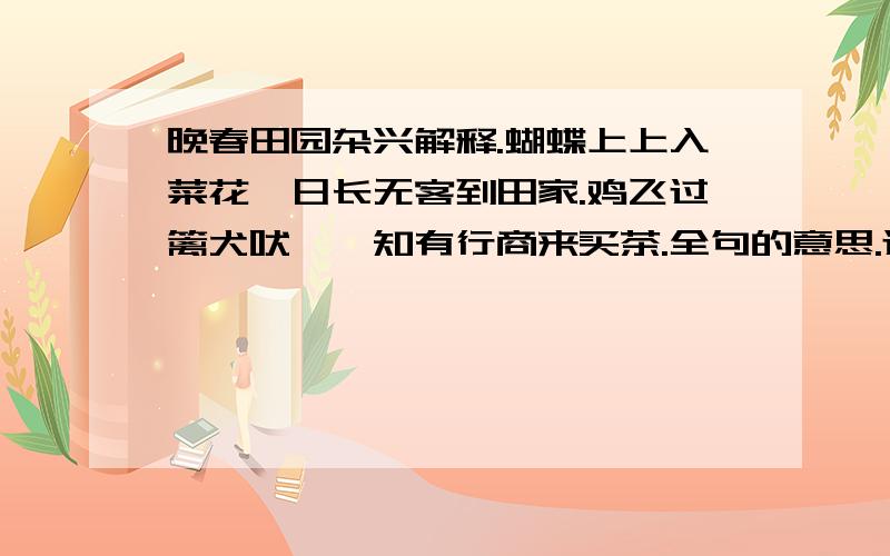 晚春田园杂兴解释.蝴蝶上上入菜花,日长无客到田家.鸡飞过篱犬吠窦,知有行商来买茶.全句的意思.还有一些字义.入：无客：篱：窦：知：行商：