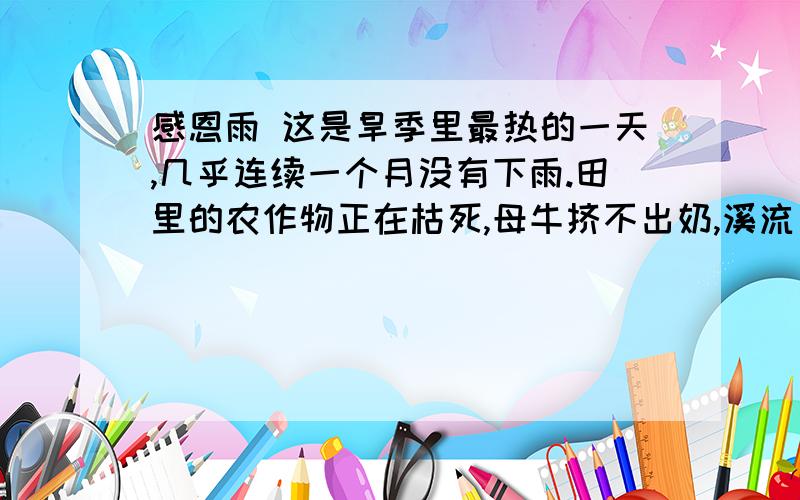 感恩雨 这是旱季里最热的一天,几乎连续一个月没有下雨.田里的农作物正在枯死,母牛挤不出奶,溪流已干涸.看来在这个旱季结束之前会有好几个农场主要宣布破产了.我的丈夫和他的兄弟们每