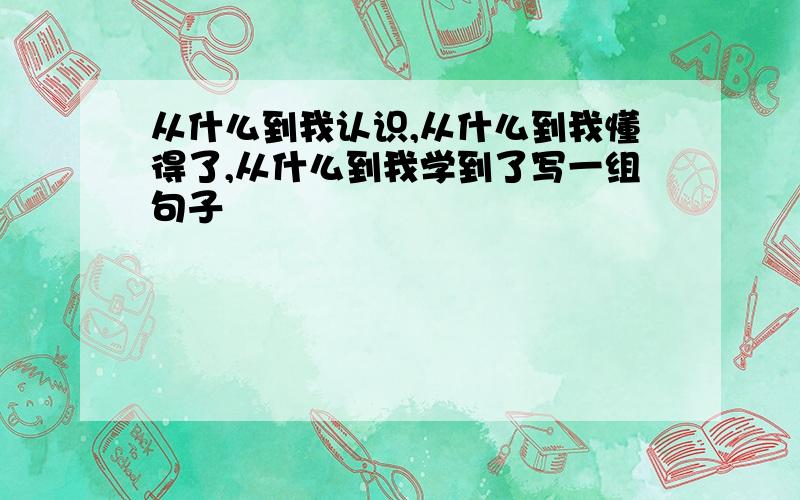 从什么到我认识,从什么到我懂得了,从什么到我学到了写一组句子