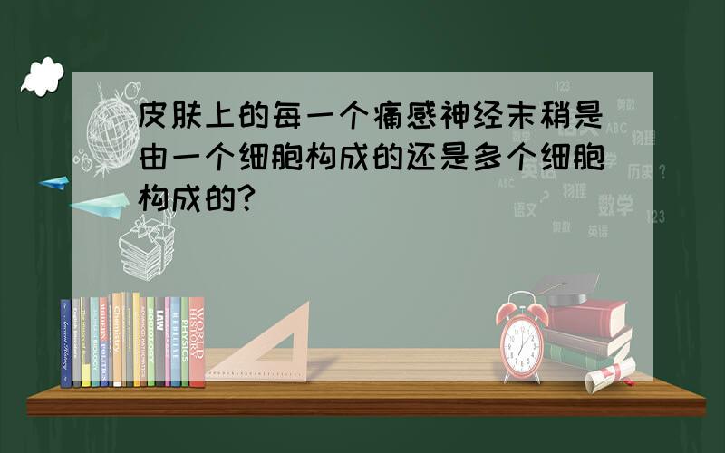 皮肤上的每一个痛感神经末稍是由一个细胞构成的还是多个细胞构成的?