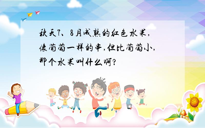 秋天7、8月成熟的红色水果,像葡萄一样的串,但比葡萄小,那个水果叫什么啊?