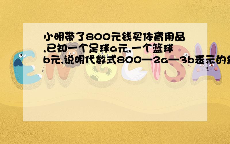 小明带了800元钱买体育用品,已知一个足球a元,一个篮球b元,说明代数式800—2a—3b表示的意义：