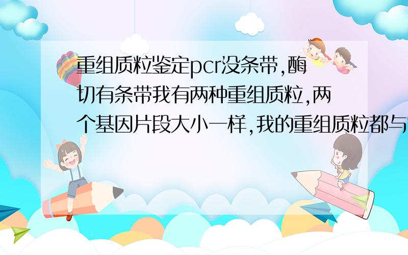 重组质粒鉴定pcr没条带,酶切有条带我有两种重组质粒,两个基因片段大小一样,我的重组质粒都与空质粒大小相差300左右,但是用0.9%的胶140v电泳,无法区分大小,重组质粒进行双酶切,都出现了疑