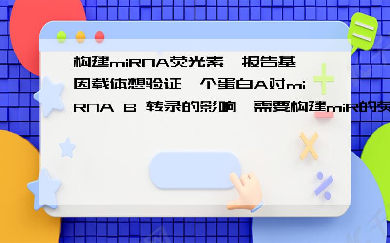 构建miRNA荧光素酶报告基因载体想验证一个蛋白A对miRNA B 转录的影响,需要构建miR的荧光素酶报告基因载体,选用的pGL3-basic,请问是选取pre-miR基因序列呢还是选用miR的启动子序列?内切酶应该如