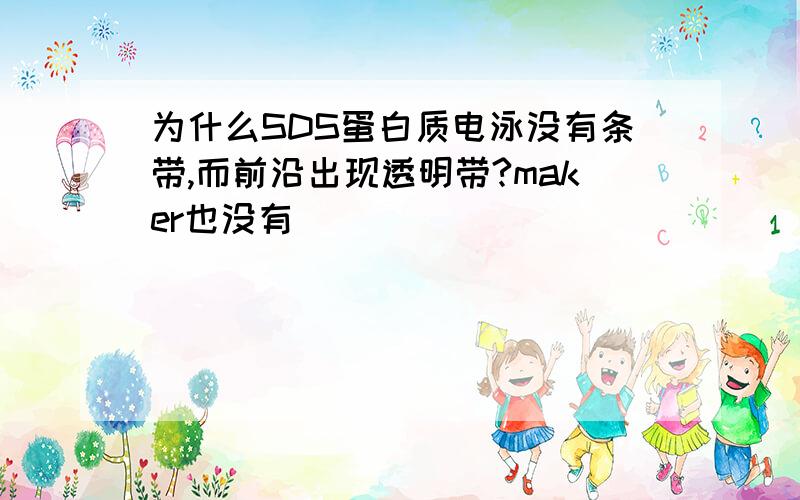 为什么SDS蛋白质电泳没有条带,而前沿出现透明带?maker也没有