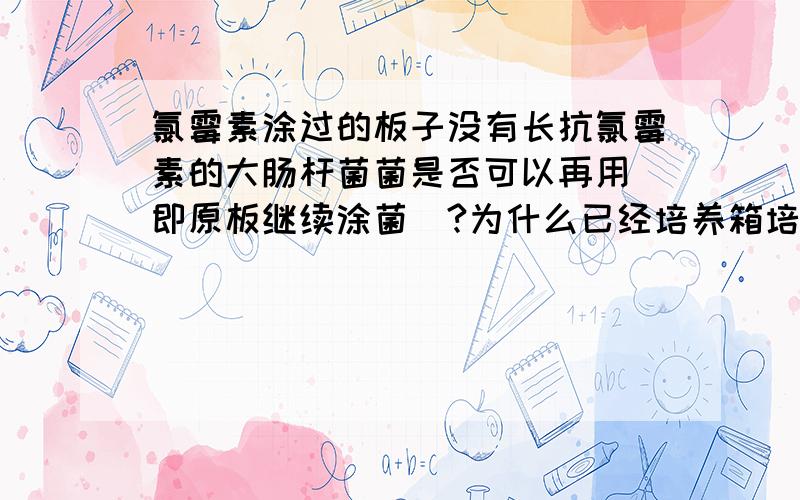 氯霉素涂过的板子没有长抗氯霉素的大肠杆菌菌是否可以再用（即原板继续涂菌）?为什么已经培养箱培养15小时左右