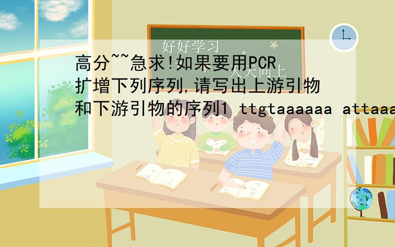 高分~~急求!如果要用PCR扩增下列序列,请写出上游引物和下游引物的序列1 ttgtaaaaaa attaaattaa taagaaatta aatgagatca ttaaatttag ataatttggc       61 ggtattttaa atagttagag gaatttgtca gttaaatgat actccacgag tggaatgtcc      121 tagt