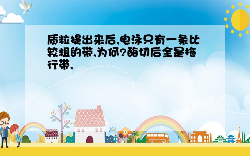 质粒提出来后,电泳只有一条比较粗的带,为何?酶切后全是拖行带,