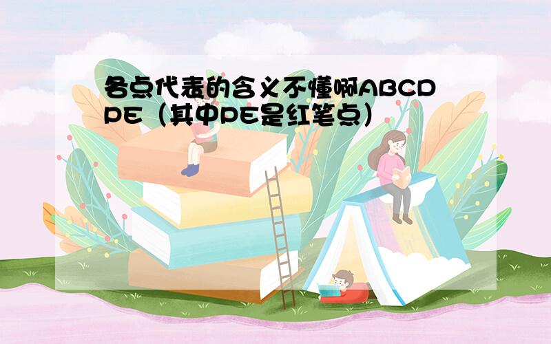 各点代表的含义不懂啊ABCDPE（其中PE是红笔点）