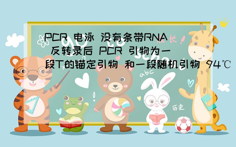 PCR 电泳 没有条带RNA 反转录后 PCR 引物为一段T的锚定引物 和一段随机引物 94℃ 5min；94℃变性 30s,40℃退火 2min,72℃延伸 1min,40个循环； 72℃补平 5min.1%琼脂糖凝胶电泳 看不到条带,点样空是亮