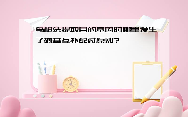 鸟枪法提取目的基因时哪里发生了碱基互补配对原则?