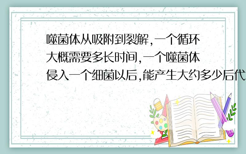 噬菌体从吸附到裂解,一个循环大概需要多长时间,一个噬菌体侵入一个细菌以后,能产生大约多少后代?