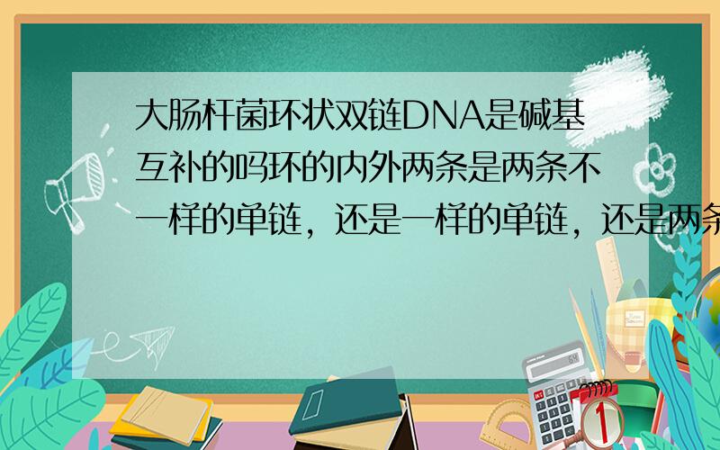 大肠杆菌环状双链DNA是碱基互补的吗环的内外两条是两条不一样的单链，还是一样的单链，还是两条不一样的双链，为什么复制时会形成两条复制叉？