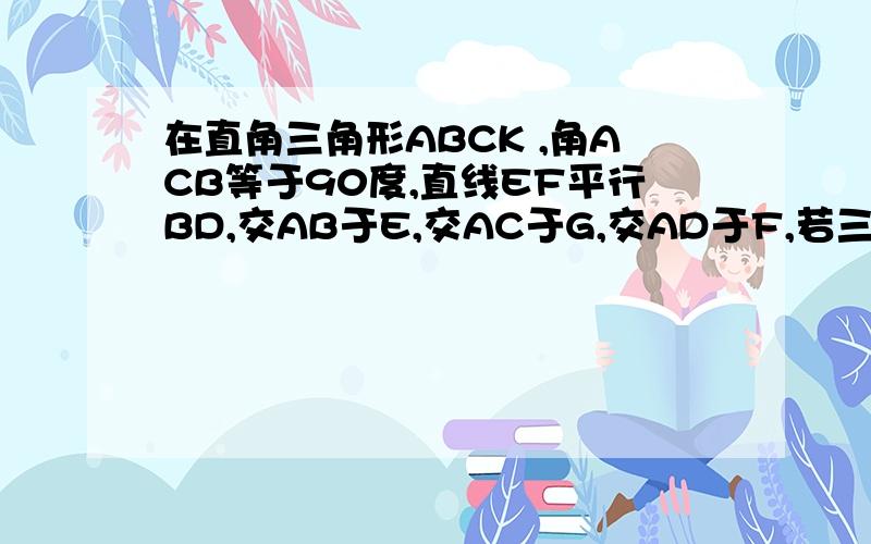 在直角三角形ABCK ,角ACB等于90度,直线EF平行BD,交AB于E,交AC于G,交AD于F,若三角形面积等于三分之一四边形EDCG面积,则CF/AD等于多少