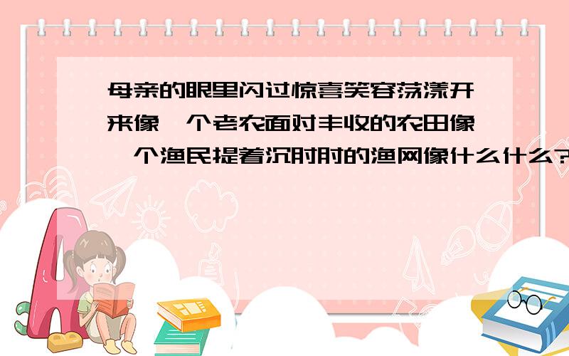 母亲的眼里闪过惊喜笑容荡漾开来像一个老农面对丰收的农田像一个渔民提着沉甸甸的渔网像什么什么?