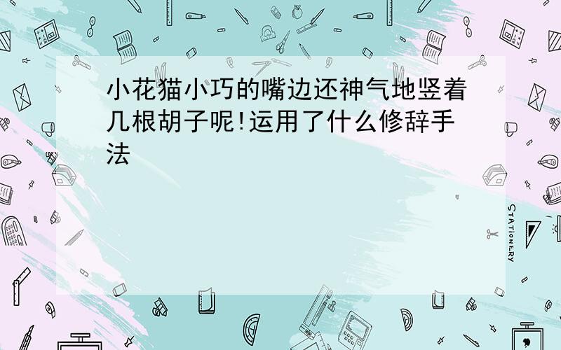 小花猫小巧的嘴边还神气地竖着几根胡子呢!运用了什么修辞手法