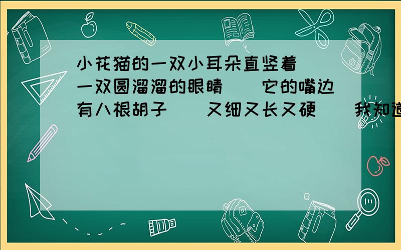 小花猫的一双小耳朵直竖着（）一双圆溜溜的眼睛（）它的嘴边有八根胡子（）又细又长又硬（）我知道那是用来量老鼠洞口大小的（） 加标点