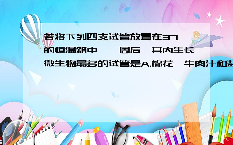 若将下列四支试管放置在37℃的恒温箱中,一周后,其内生长微生物最多的试管是A.棉花、牛肉汁和盐水 B.棉花、牛肉汁和醋 C.棉花、煮过的牛肉汁 D.棉花、未煮过的牛肉汁为什么