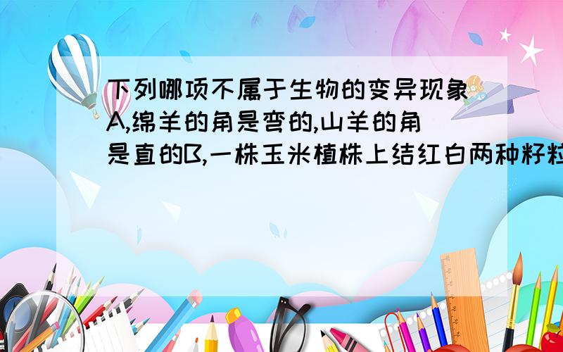 下列哪项不属于生物的变异现象A,绵羊的角是弯的,山羊的角是直的B,一株玉米植株上结红白两种籽粒C,父母肤色正常,儿子却是白化病D,同种秧苗在水肥条件不同时长势不同