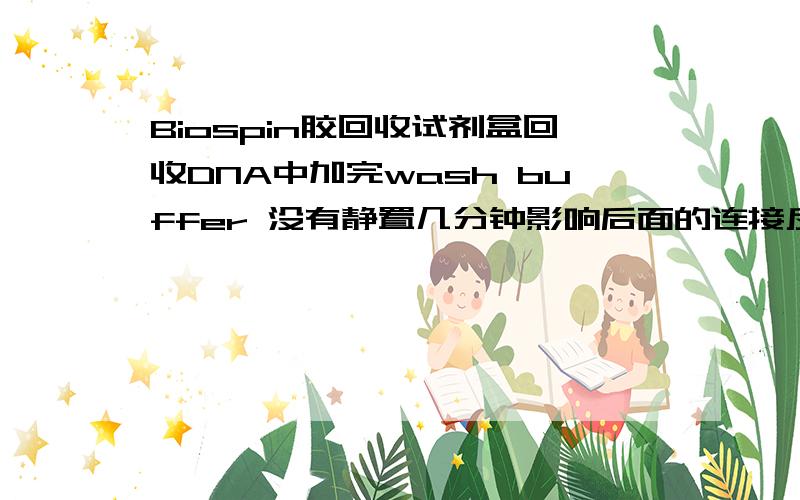 Biospin胶回收试剂盒回收DNA中加完wash buffer 没有静置几分钟影响后面的连接反应