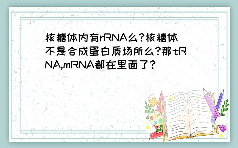 核糖体内有rRNA么?核糖体不是合成蛋白质场所么?那tRNA,mRNA都在里面了?