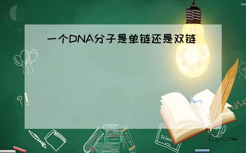 一个DNA分子是单链还是双链