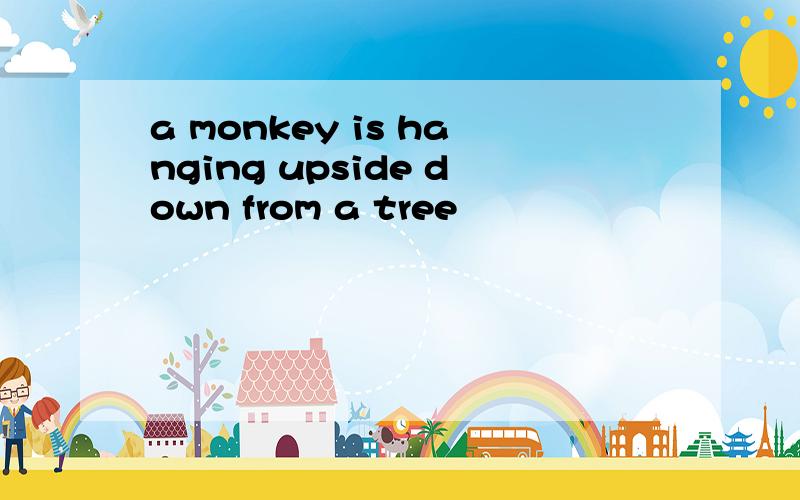 a monkey is hanging upside down from a tree