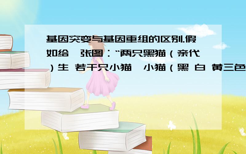 基因突变与基因重组的区别.假如给一张图：“两只黑猫（亲代）生 若干只小猫,小猫（黑 白 黄三色）”问 这是基因突变 还是 基因重组?