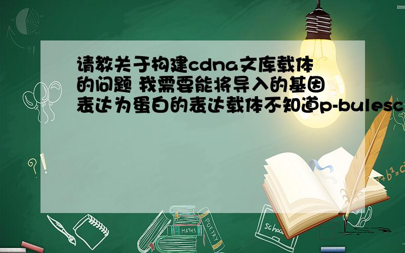 请教关于构建cdna文库载体的问题 我需要能将导入的基因表达为蛋白的表达载体不知道p-bulescript XR可以不可以 它能表达外源基因吗 如果不可以 有莫有有经验的可以推荐个建库用表达载体呢?