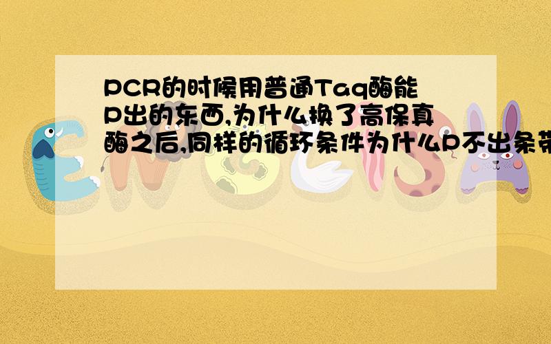 PCR的时候用普通Taq酶能P出的东西,为什么换了高保真酶之后,同样的循环条件为什么P不出条带?