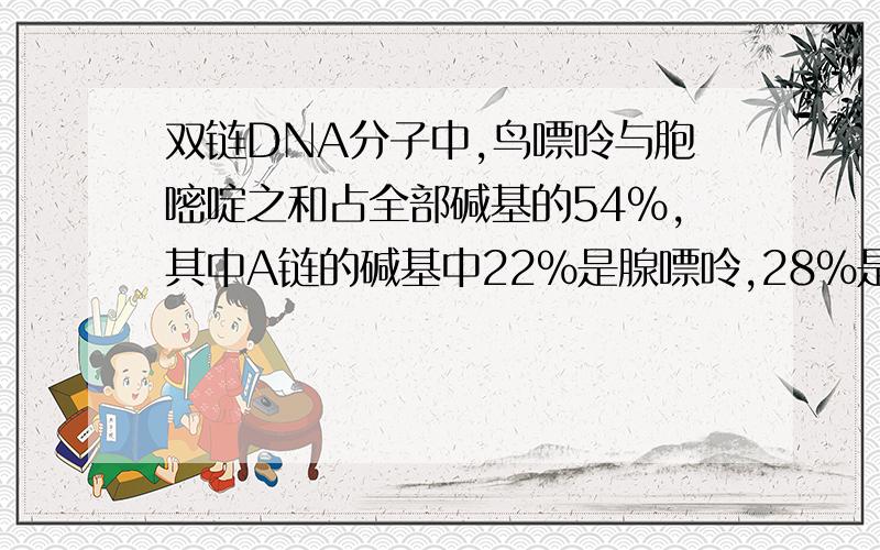 双链DNA分子中,鸟嘌呤与胞嘧啶之和占全部碱基的54%,其中A链的碱基中22%是腺嘌呤,28%是胞嘧啶,则B链中腺嘌呤占该链碱基的比例和胞嘧啶占整个DNA分子碱基的比例分别为