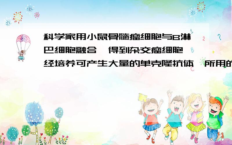 科学家用小鼠骨髓瘤细胞与B淋巴细胞融合,得到杂交瘤细胞,经培养可产生大量的单克隆抗体,所用的B淋巴细是来自?为什么是 脾脏经过筛选的，能产生单一抗体的B淋巴细胞？而不是 骨髓的B淋